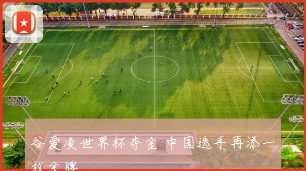 谷爱凌世界杯夺金 中国选手再添一枚金牌